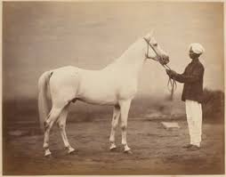 Groupe Munad Khani, 1879 | John Burke | Estampe d'art