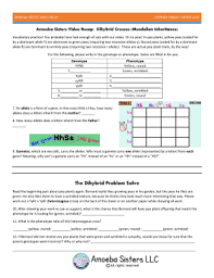 If the inheritance of seed color was truly independent of seed shape, then when the f1 dihybrids were crossed to each other, a 3:1 ratio of one trait should be. Amoeba Sisters Video Recap Dihybrid Crosses Mendelian Inheritance Fill Online Printable Fillable Blank Pdffiller