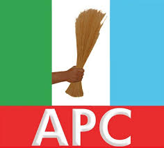 We shall stand up for good governance. Woman Leader Urge Supporters To Protect Votes Apc Infotrust News
