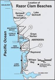 Razor Clam Seasons And Beaches Washington Department Of