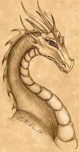 Pin By Caity Rice On Lizards And Dragons Dragon Drawing Dragon Art Dragon Sketch