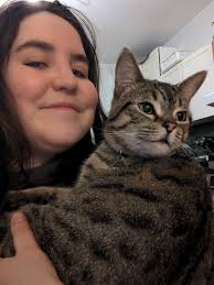 Missing cat in Cochrane Alberta found