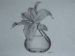 Lily In A Glass Vase Original Drawing Flower Vase Drawing Pencil Drawings Still Life Sketch