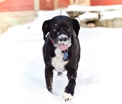 Download 100 Best Winter Captions And Quotes For Your Next Instagram Post
