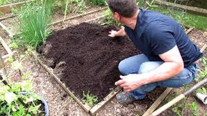How do you choose plants? A Complete Guide To Digging Planting Your First Vegetable Garden Tomatoes Peppers Herbs Youtube