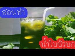 แชร เก บไว น าด มสม นไพรเพ อส ขภาพ น าใบบ วบก ว ธ ท า ทำง ายๆๆ น ำด มสม นไพรทำขาย youtube เคร องด ม