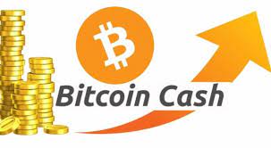 By allowing bitcoin trading (and in particular short selling) on a. Bitcoin Cash Bch News Why Is Bitcoin Cash Bch Up By 19 Today Cryptolithy Com