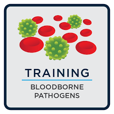 Bloodborne Pathogens, Online Training | ICC Compliance Center Inc ...