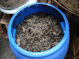 Maybe you would like to learn more about one of these? Cara Membuat Pupuk Kompos Dari Daun Kering