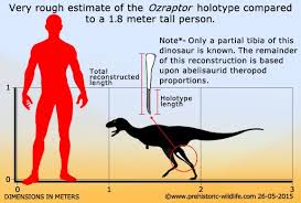Ozraptor Dinosaur Dinosaur Fossils Prehistoric Creatures