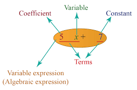 Check spelling or type a new query. Variable Expressions Definition Solved Examples Questions