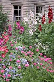 Pin By Sandy Swanson On Flora Cottage Garden Beautiful Gardens Plants