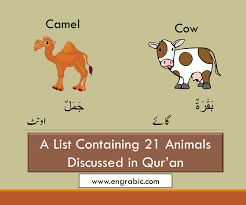 Maabad is an arabic name for boys that means worship. Creatures Of The Qur An Islamic Books For Kids Quran Animals For Kids