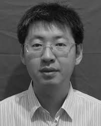 Stream Processing Dual-Track CGRA for Object Inference