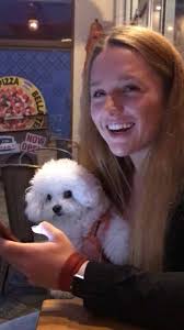 Sit Happens Professional Dog Training