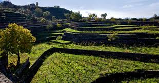 Merano tra vino e architettura: una mostra, un convegno e 3 cantine ...