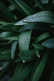 تحميل برنامج memu محاكى تشغيل تطبيقات والعاب الاندرويد. 350 Rain Wallpapers Hd Download Free Images Stock Photos On Unsplash