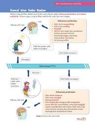 Tahukah anda bahawa termostat digunakan untuk mengawal suhu ketuhar? Bab 3 Kawal Atur Kandungan Air Flip Ebook Pages 1 3 Anyflip Anyflip