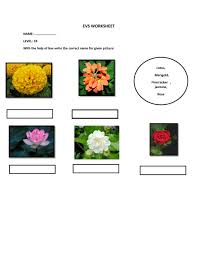 In this video your kids learn flowers name in gujarati and english , for more updates you can follow us on facebook from. Flowers Names Interactive Worksheet