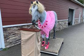 That's like the most exciting thing ever in my whole life that's ever happened to me, she tells me. Horse Mascot Dressed In Dr Bonnie Henry Outfit A Hit On Vancouver Island Nelson Star