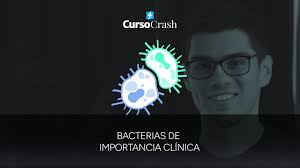 Promo Curso Crash Bacterias