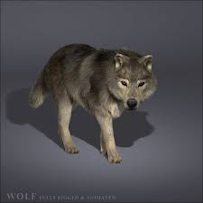 Fur Animation Wolf 3d Model Wolf 3d 3d Model Animation