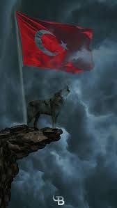 Murat Muratcelep Suskun Suskunn Turk Bayrak Osmanli Turan Kizilelma Bozkurt Vatan Millet Anadolu Otuken Resimler Bayrak Resim
