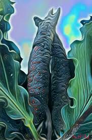 Tanaman anthurium termasuk jenis tanaman primadona di kalangan pecinta tanaman hias, karena anthurium memiliki kesan yang mewah dan eklusif. My Daily Art 15 Wave Of Love Steemit