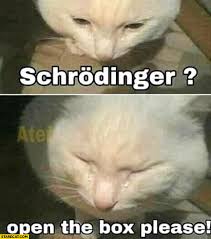 Schrodinger Open The Box Please Sad Cat Crying Starecat Com