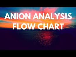 Anion Analysis Made Easy With 1min Flow Chart Cbse Chemistry