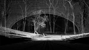 Point Cloud In Central Park By Mynd Workshop Laser Scanning 3d Scanning Point Clouds Cgi 3d Modeling Point Cloud Cloud Art Central Park