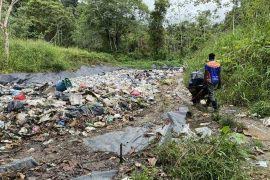 Image result for Centemopsis kirkii