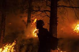 Aumenta incidencia de incendios forestales; Incendios Forestales Mantienen En Estado De Alerta A Canada Y Eu Mexico Envia Un Contingente De Bomberos A Ontario