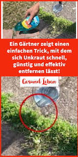 Pin Von Ka Lo Auf Garten Unkraut Bepflanzung Und Unkraut Im Garten