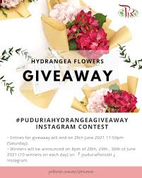 Maybe you would like to learn more about one of these? Pudu Ria Florist Trading Sdn Bhd Giveaway Time Flowers Are Playing Popular Roles In Strengthen Relationship And Brighten Up Our Days Because Of You Our Flower Growers Are Having Faith