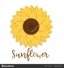 Bunga matahari vectors and psd free download. Detail Gambar Ilustrasi Bunga Vektor Bunga Matahari Kuning Flora Alami Pad