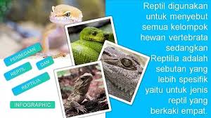 Dilansir dari national geographic, panjang mereka yang mencapai 32 meter dan berat 200 ton membuat mereka bukan saja jadi hewan terbesar di bumi saat ini, tapi juga sepanjang masa. Reptil Pengertian Ciri Ciri Contoh Dan Mengapa Disebut Hewan Melata Buzid