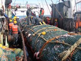 نتیجه جستجوی لغت [discards] در گوگل