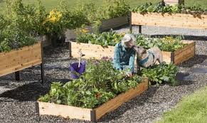 guide to raised garden beds: plans