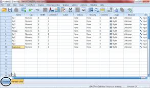 Cara Input Data Kuesioner Atau Angket Ke Dalam Spss Spss Statistik