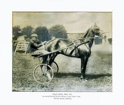 HARNESS RACING: Sepia Sands sweeps on ...
