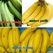 Seperti kumpulan gambar pohon di bawah ini, yang sedikit banyak. Mengenal Jenis Pisang Unggulan Di Indonesia Dwisangpetani