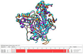 Image result for Euclasta condylotricha