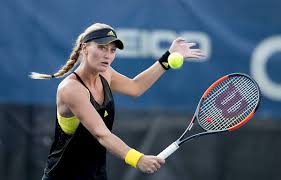 Als anrechenbares vermögen beim kinderzuschlag gelten grundsätzlich alle verwertbaren vermögensgegenstände. Kristina Mladenovic Wikipedia