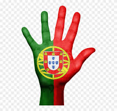 Click to download portugal, flag, america flag, espanha, romania icon from public domain world flags iconset by wikipedia authors. Portugal Flag Png Free Transparent Png Clipart Images Download