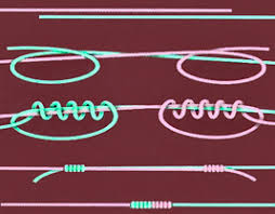 We did not find results for: Anleitungen Zum Ketten Basteln Und Eigenen Schmuck Gestalten