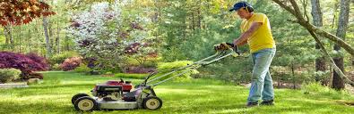 Maybe you would like to learn more about one of these? Cutting Edge The Future Of Lawn Service