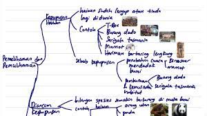 5.1.1 kepupusan haiwan 5.1.2 diancam kepupusan 5.1.3 aktiviti. Sains Unit 5 Pemeliharaan Dan Pemuliharaan Upsr Tahun 6 Youtube