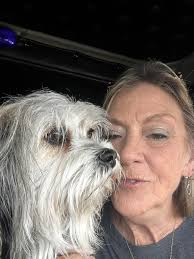 Introduction and photo of harriet the highway hound