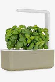 Want fresh herbs for cooking within easy reach? 15 Best Indoor Garden Kits 2021 The Strategist